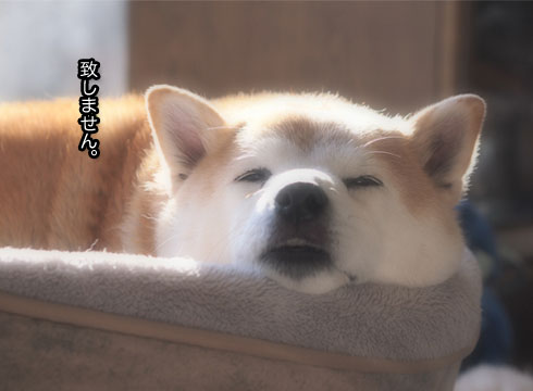 28日ブログ9.jpg