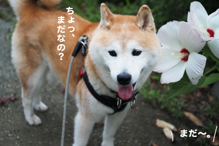 14日ブログ4