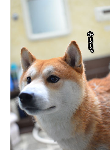 12日ブログ4.jpg