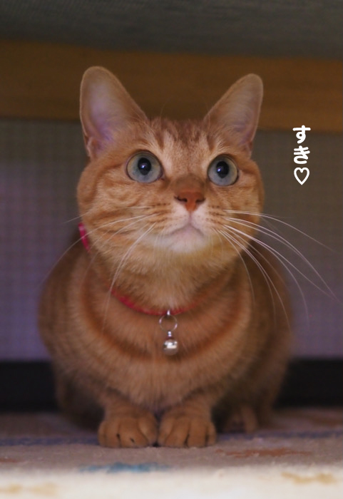14日ブログ２