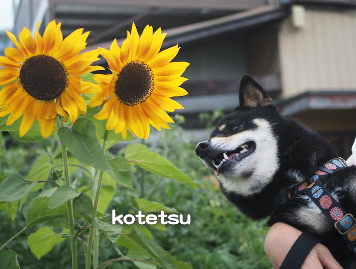 16日夕ブログ３