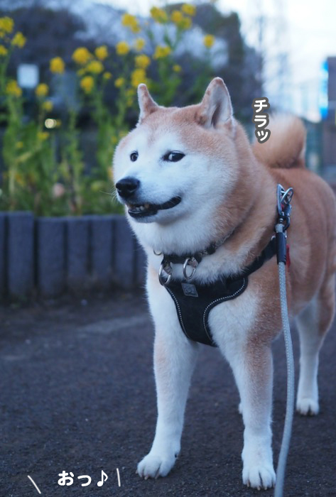 26日ブログ５
