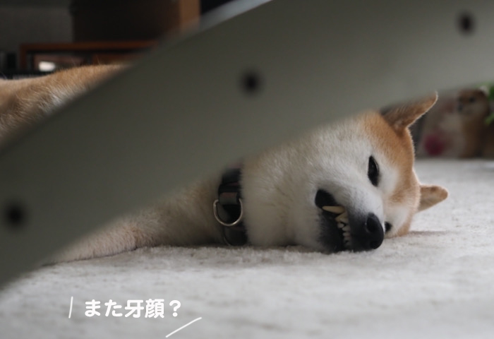 18日ブログ１
