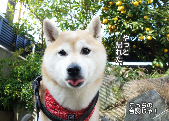20日夜ブログ３