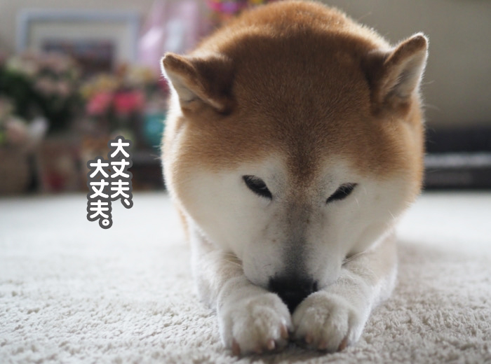 13日ブログ９