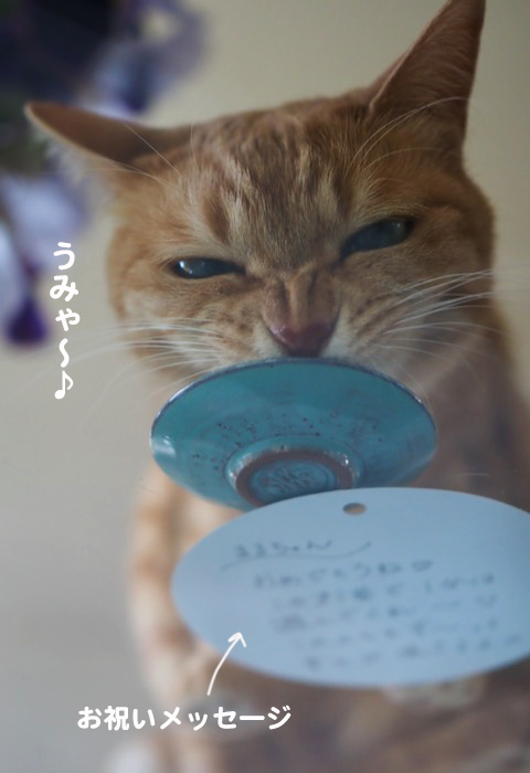 6日夕ブログ５