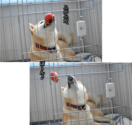 25日ブログ10.jpg