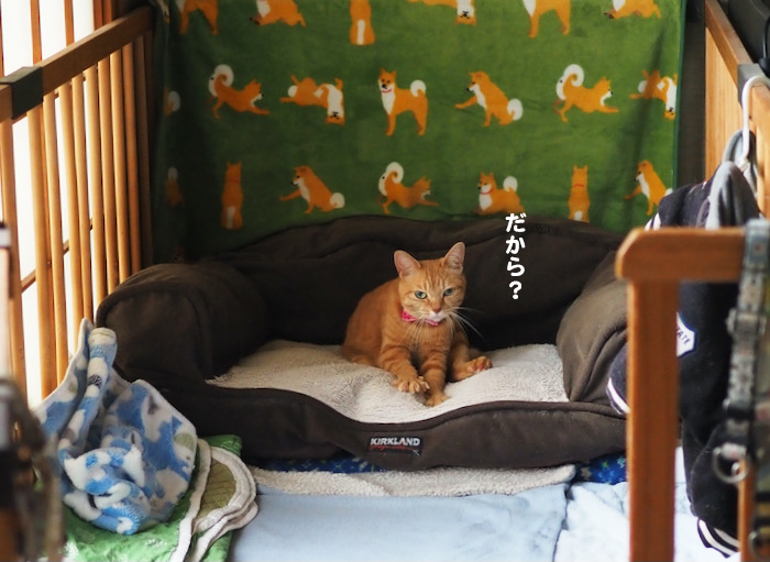 21日ブログ３