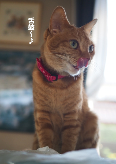 25日ブログ５