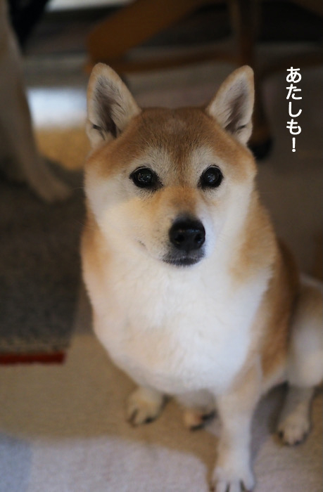 18日夜ブログ３