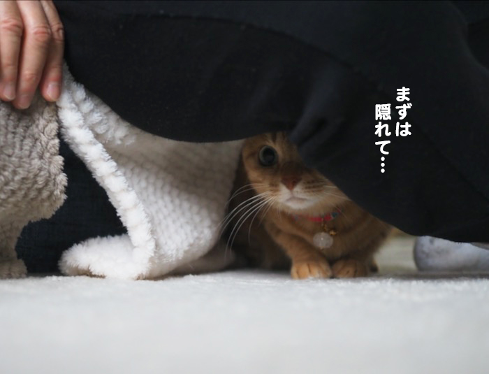 20日夕ブログ４