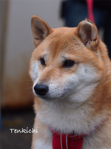 2日ブログ5.jpg
