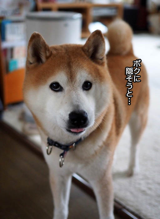11日ブログ３