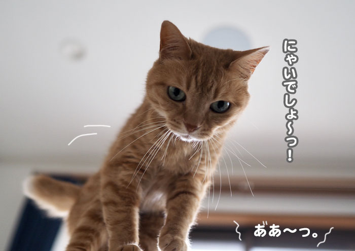 19日の夕ブログ６