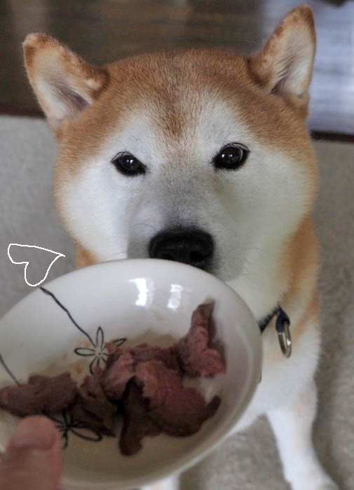 26日夕ブログ７