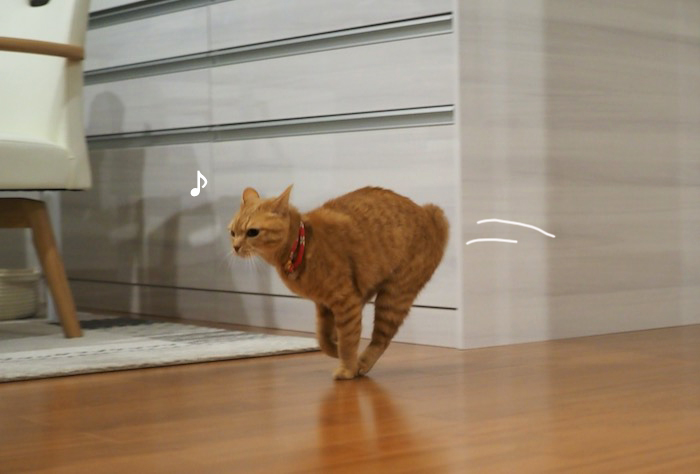 17日夜ブログ７