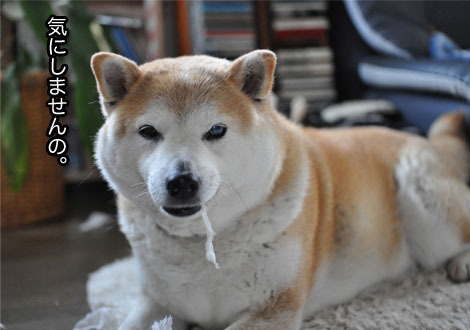 19日ブログ４.jpg