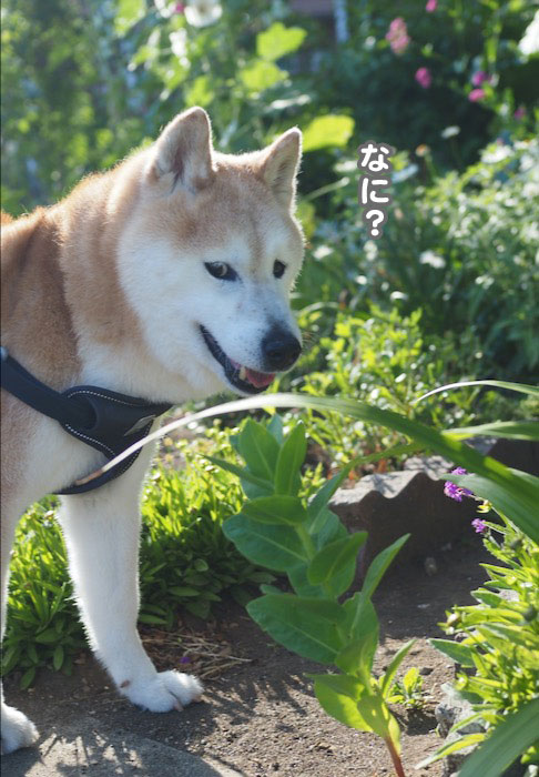 19日ブログ２