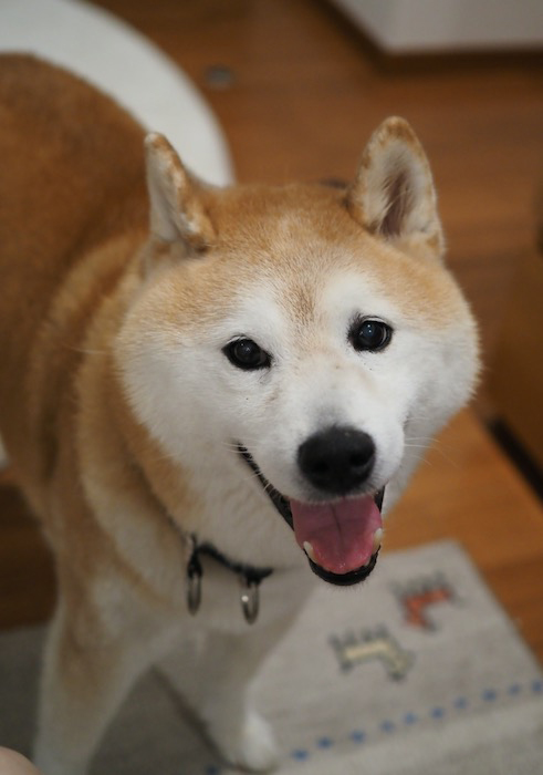 29日ブログ１