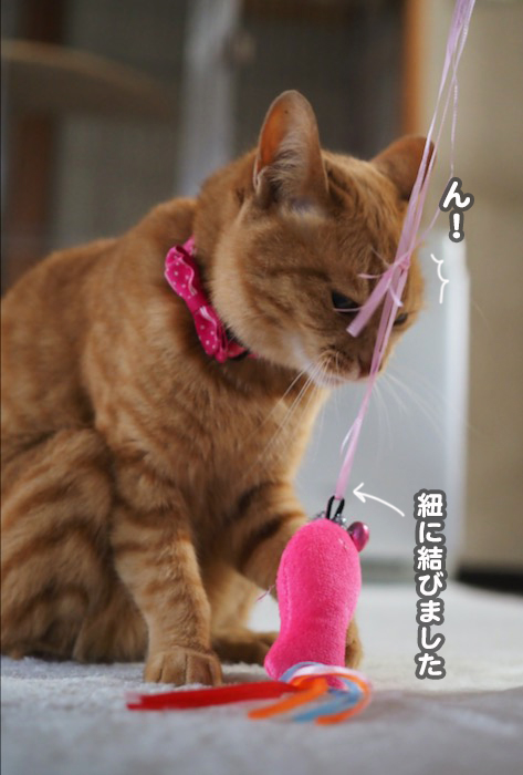31日夕ブログ7