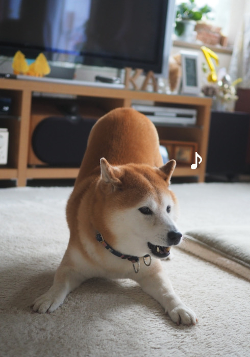 25日ブログ６