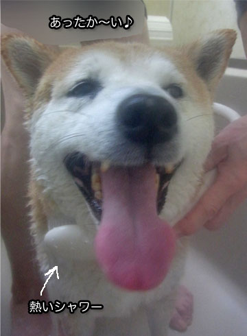 28日ブログ5.jpg