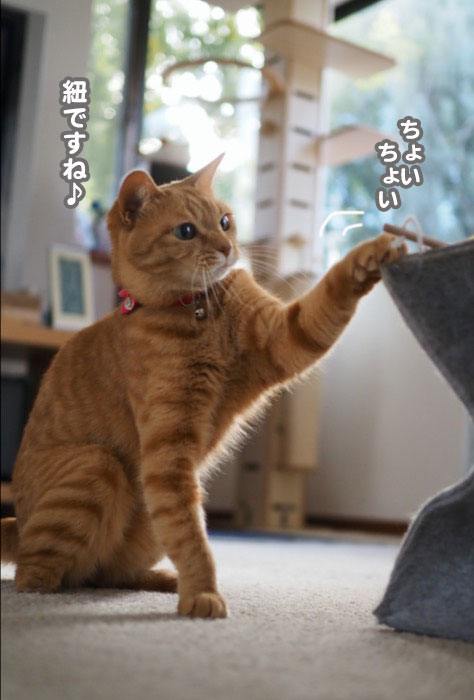 17日夕ブログ４