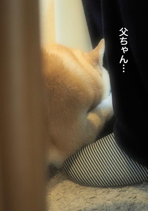 19日ブログ３