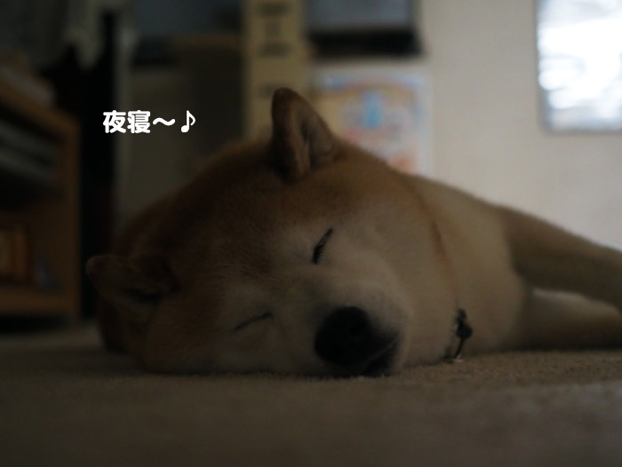 19日ブログ２