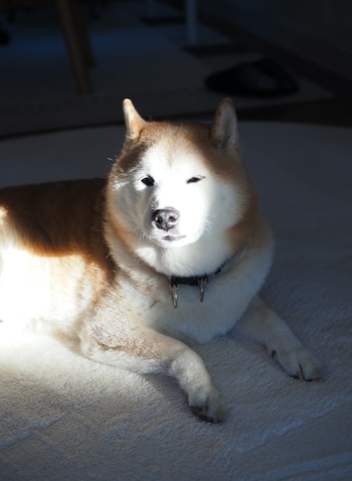 16日ブログ１