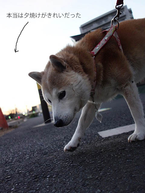 7日2ブログ4