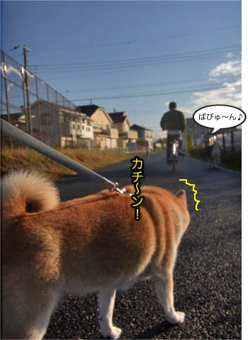 18日ブログ2.jpg