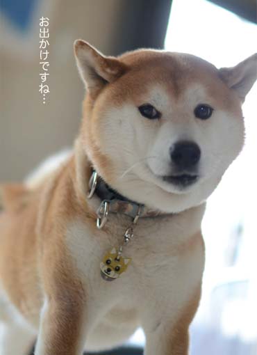 9日ブログ3.jpg