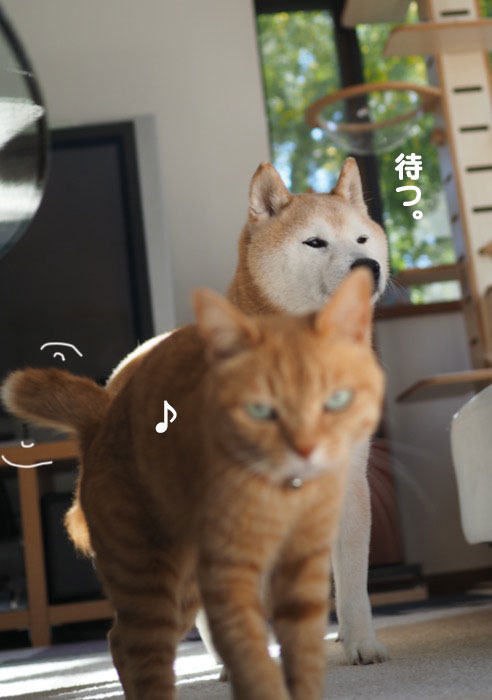 9日ブログ４
