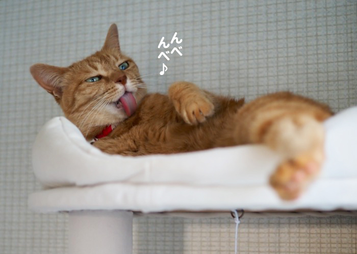 18日夕ブログ７