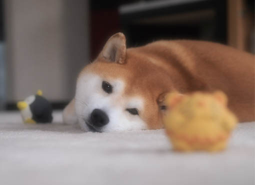 21日ブログ7.jpg