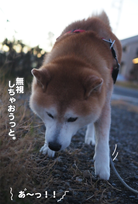 22日夕ブログ９