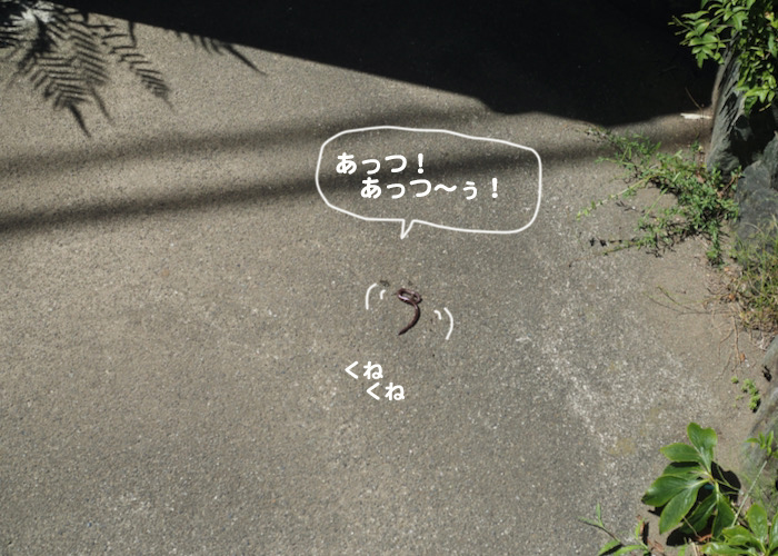 24日夕ブログ8