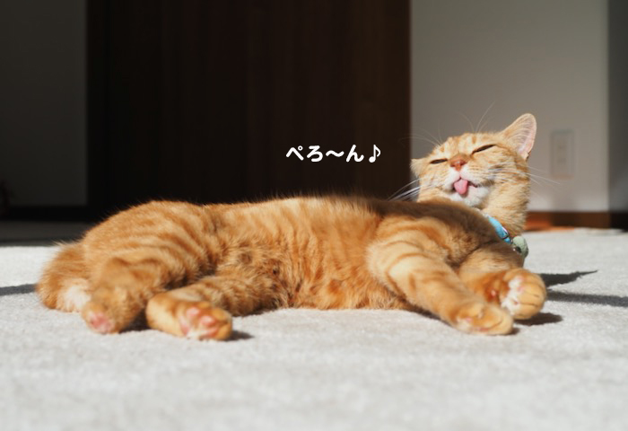 14日夕ブログ３