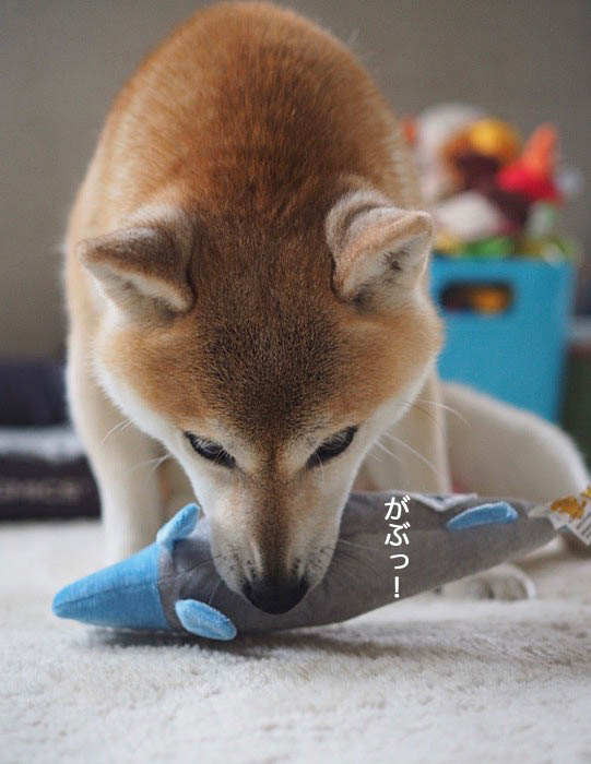 22日夜ブログ３