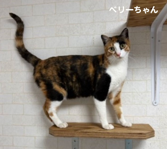 23日夕ブログ７