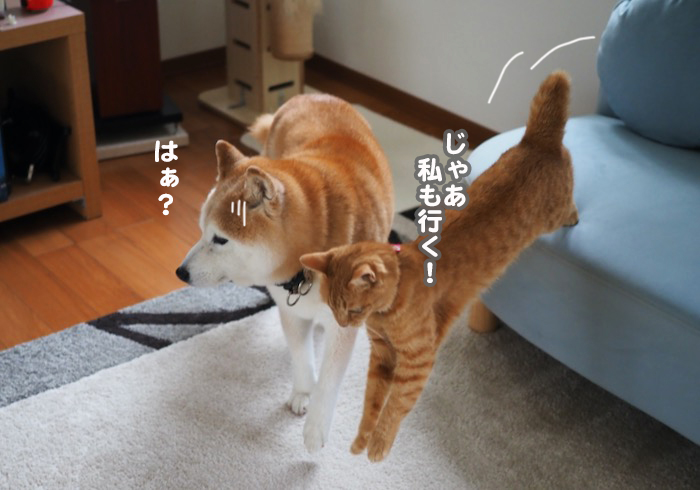 13日夕ブログ１２