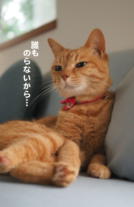 10日夕ブログ４