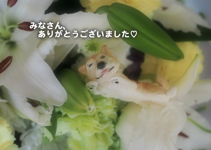 18日ブログ９