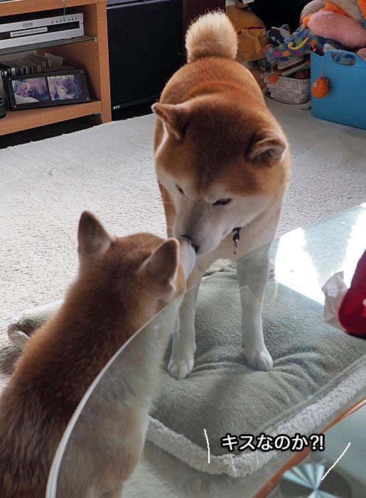11日ブログ２