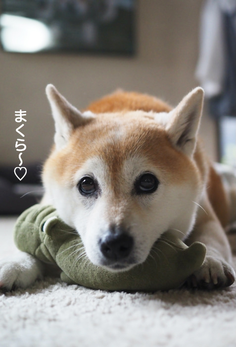 22日夜ブログ３