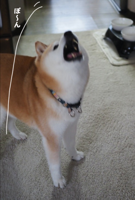 22日ブログ３