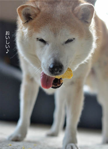 29日ブログ8.jpg