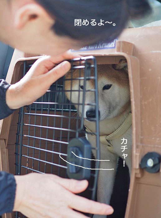 4日ブログ６