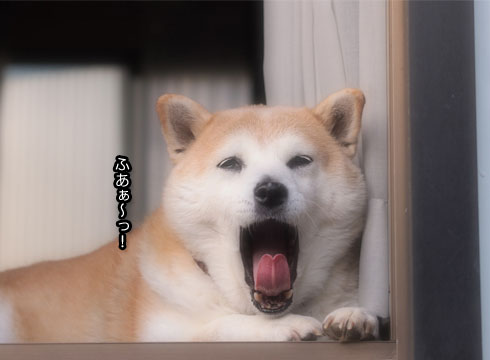 29日ブログ5.jpg